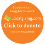 DonateButton-LocalGiving2