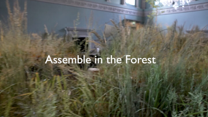 Forest of Imagination 2023 film, “Assemble in the Forest”